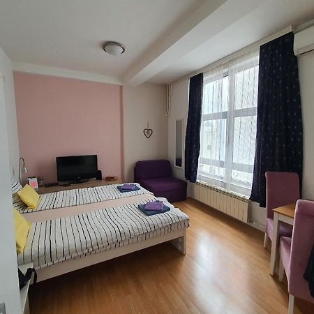 Studio Apartman Ld U Strogom Centru 노비사드 외부 사진