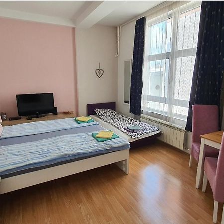 Studio Apartman Ld U Strogom Centru 노비사드 외부 사진