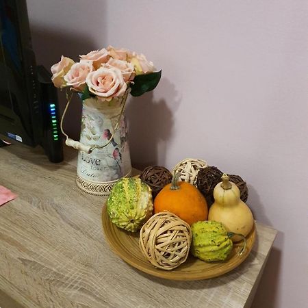 Studio Apartman Ld U Strogom Centru 노비사드 외부 사진