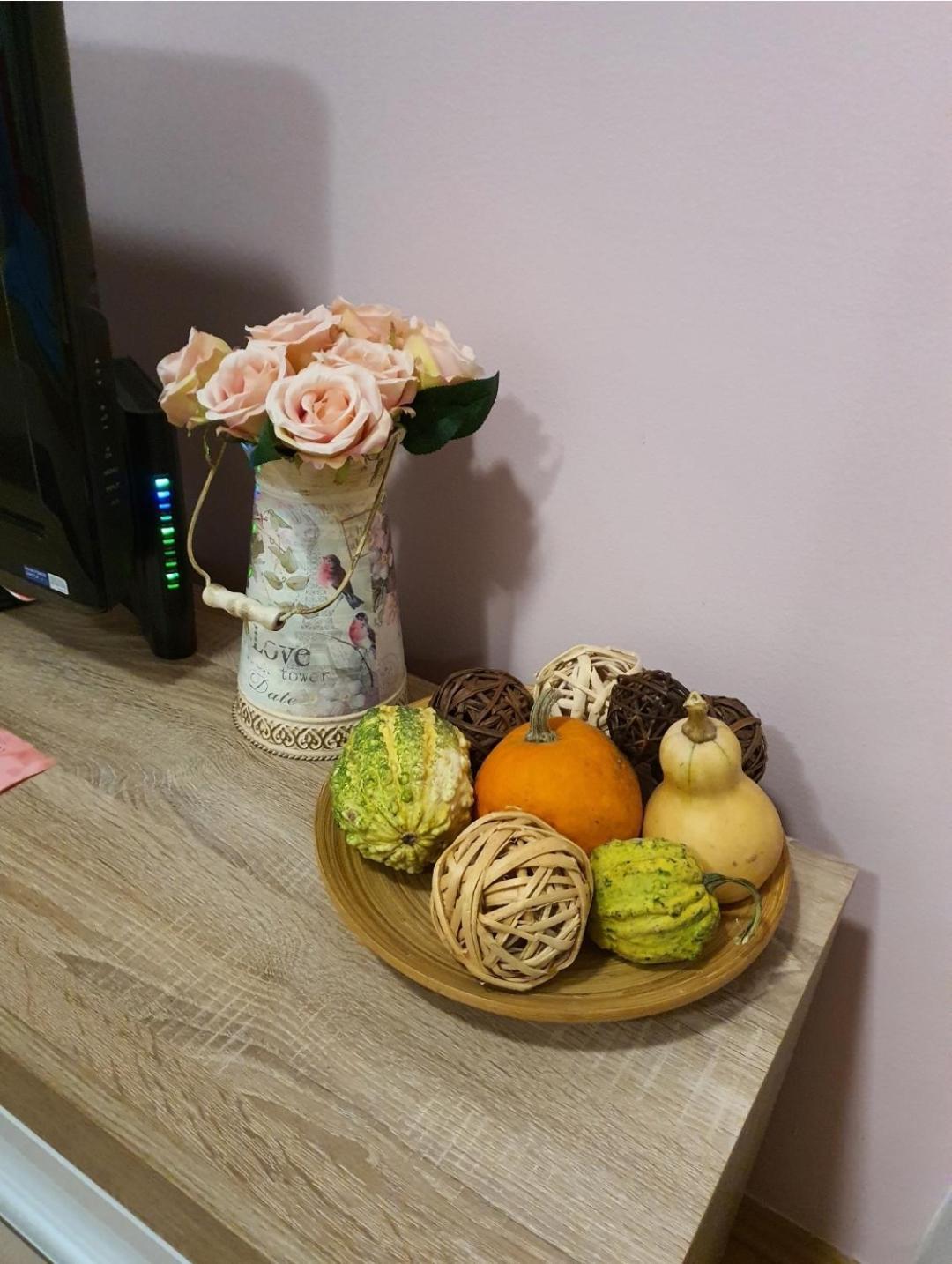 Studio Apartman Ld U Strogom Centru 노비사드 외부 사진