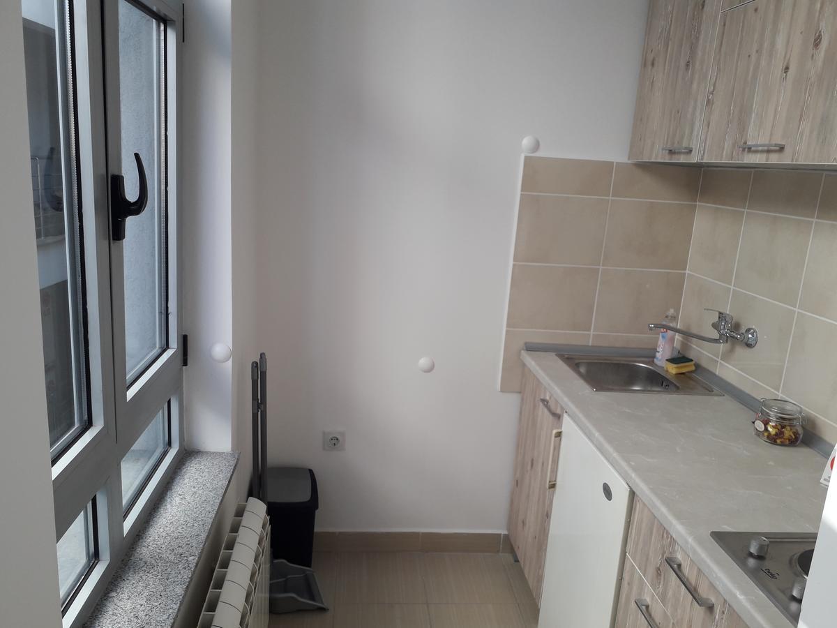 Studio Apartman Ld U Strogom Centru 노비사드 외부 사진