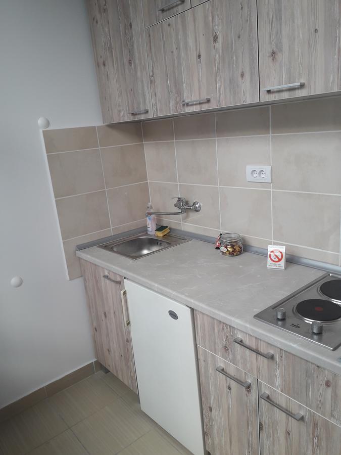 Studio Apartman Ld U Strogom Centru 노비사드 외부 사진