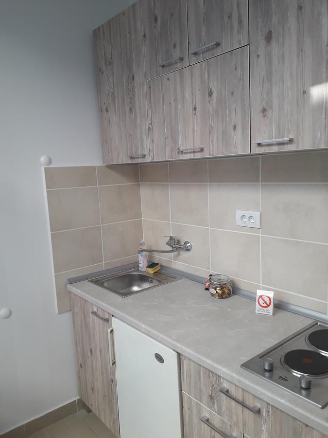 Studio Apartman Ld U Strogom Centru 노비사드 외부 사진